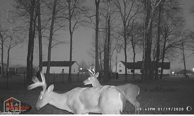 4104 Reynolds Park Rd, Paragould, AR 72450 - photo 7