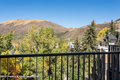 800 S Mill St unit 301, Aspen, CO 81611 - photo 3