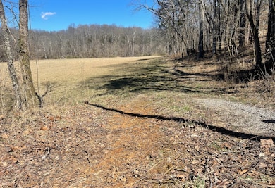 1 Old Clarksville Pike, Chapmansboro, TN 37035 - photo 2