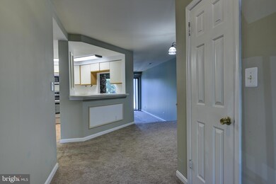 11258 Harbor Ct unit 1258, Reston, VA 20191 - photo 4