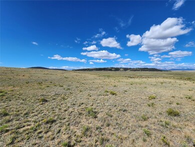 3712 Cimarron Dr unit 2, Hartsel, CO 80449 - photo 2
