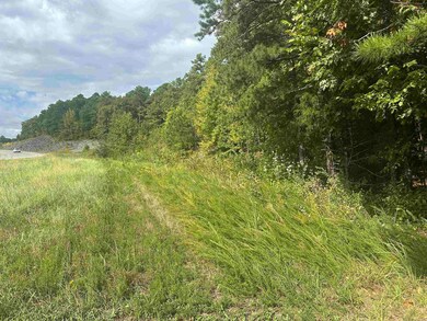 000 Hwy 65 N, Clinton, AR 72031 - photo 4