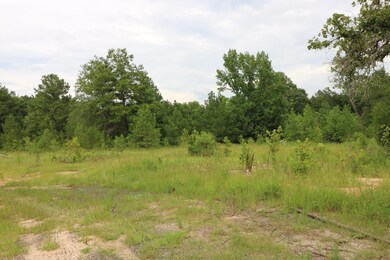 AB985 TR85 County Road 1028, Newton, TX 75966 - photo 2