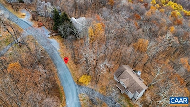 341 Chestnut Place, Roseland, VA 22967 - photo 7