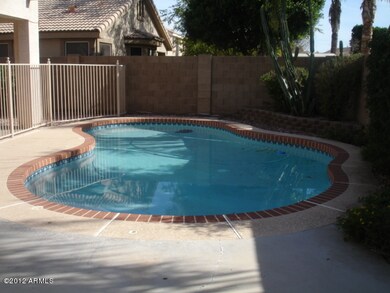 Gorgeous Pool