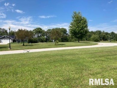 4001 229th Street Cir N, Port Byron, IL 61275 - photo 3