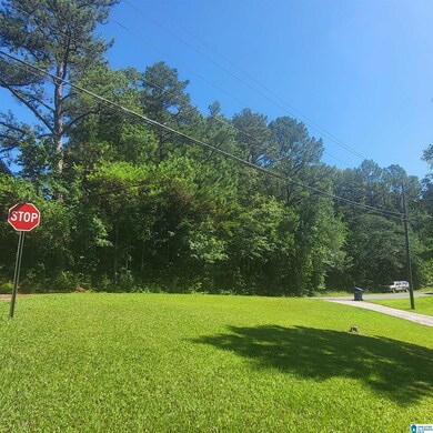 0 Grogan Rd, Talladega, AL 35160 - photo 3