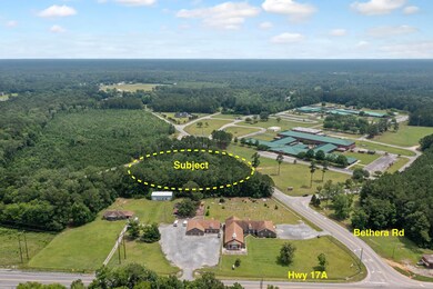0 Bethera Rd, Bonneau 2