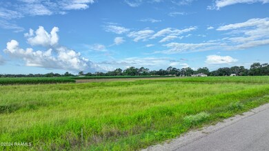 Marshfield