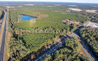 0 Tbd Cr 137, Wellborn, FL 32094 - photo 5