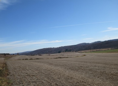 70 acres Hwy 78, Merrimac, WI 53561 - photo 4