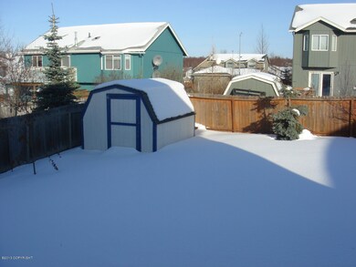 Back Yard 1