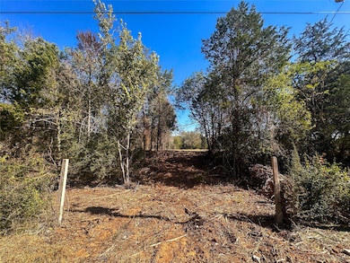 Lot 9D Foothill Rd, Camp Swift, TX 78602 - photo 3