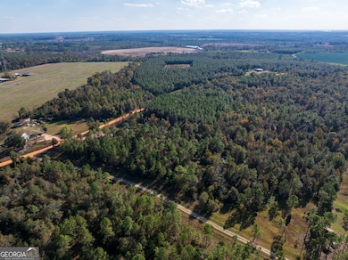 2.01 ACRES Clifford Rogers Rd, Lyons, GA 30436 - photo 4