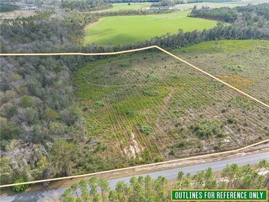 Tract #6 - 0 Saddleclub Rd, Hoboken, GA 31542 - photo 5