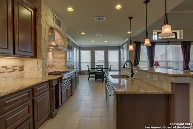 25943 Natal Plum, San Antonio, TX 78261 - photo 5