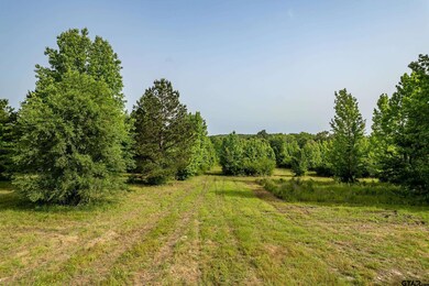 0 Cr 345 unit 25007450, Winona, TX 75792 - photo 5