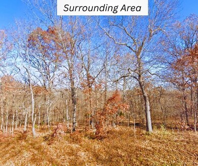 31176 Malcolm Rd, Edwards, MO 65326 - photo 4