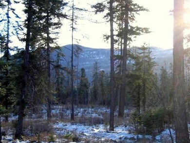 176 Crescent Moon, Bigfork, MT 59911 - photo 4