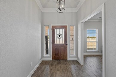 209 Cottongame Dr, Weatherford, TX 76088 - photo 3