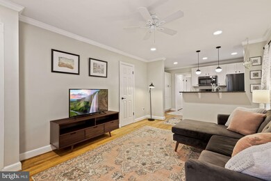 7300 Flower Ave unit 4, Takoma Park, MD 20912 - photo 5