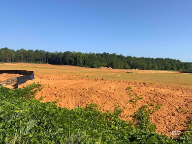 0 St Hwy 59 Hwy unit 1 380398, Bay Minette, AL 36579 - photo 5