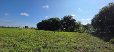 16905 NW 220th St, Okeechobee, FL 34972 - photo 6