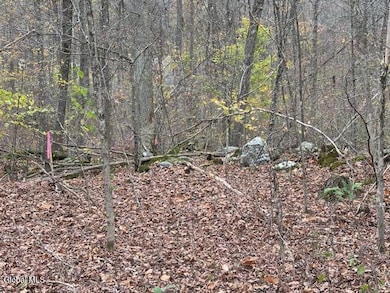 L24.1 Darfler Ln, Granville, NY 12832 - photo 5