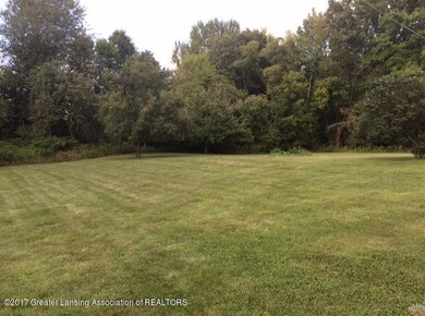 6040 beard backyard