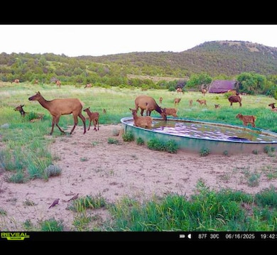 12630 Cr 175, Kim, CO 81049 - photo 3