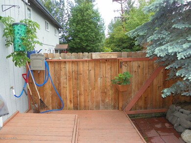 Backyard 3