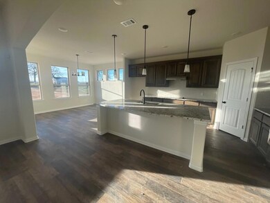 437 Guadeloupe Ln, Springtown, TX 76082 - photo 6