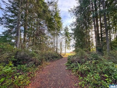 714 Hunt Rd, Port Angeles, WA 98363 - photo 6