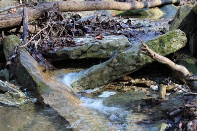 Tiny Jones Road Wp Lot unit 2, Stanton, KY 40380 - photo 3