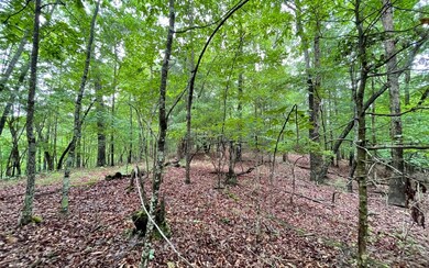 Additional View