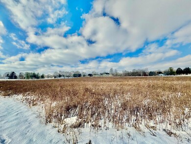 IMG_0169
