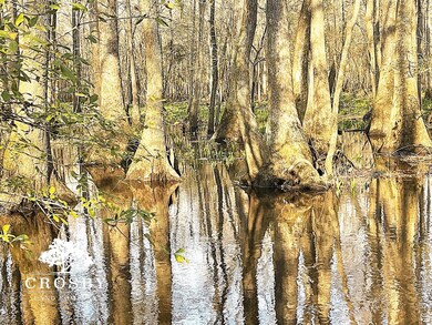 2555 E Brewington Rd, Sumter, SC 29153 - photo 6