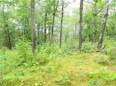 0 Bluff Lake Rd unit 1550790, Danbury, WI 54830 - photo 4