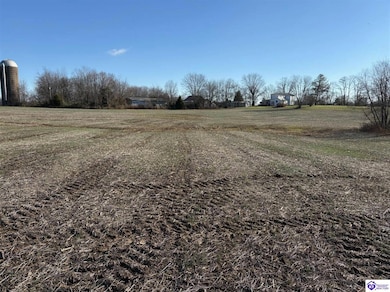 230 Owl Creek Dr, Vine Grove, KY 40175 - photo 3