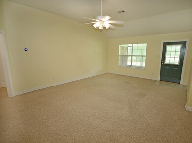 947 Mulberry Ln, Brazoria, TX 77422 - photo 7