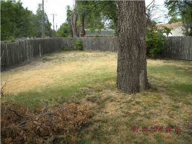 back yard