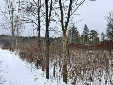 V/L W Caro Rd, Indianfields Township, MI 48723 - photo 5