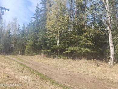 L11 MacKey Lake Rd, Soldotna, AK 99669 - photo 6