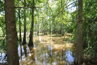 More Fishing Opportunities