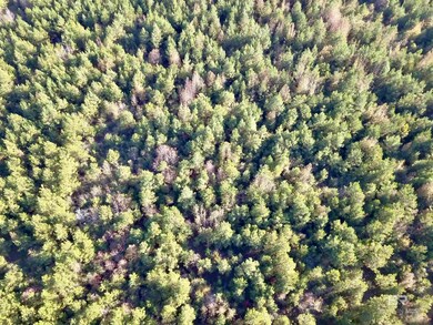 72510 State Highway 59, Little River, AL 36550 - photo 6