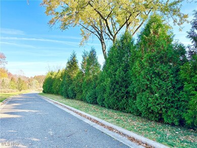 0 Ranfield Rd unit 5082689, Brimfield, OH 44240 - photo 7