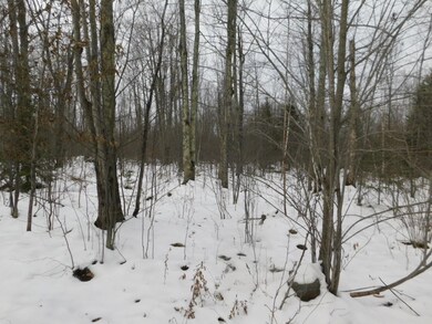 40 Acres Cth T, Tripoli, WI 54564 - photo 5