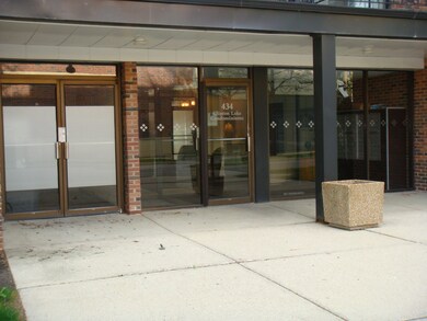 434 Clinton Place unit 201, River Forest, IL 60305 - photo 6