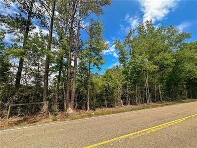 49331 16 Hwy, Franklinton, LA 70438 - photo 3