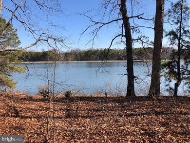 16 Merrimac Cove, Ruther Glen, VA 22546 - photo 6